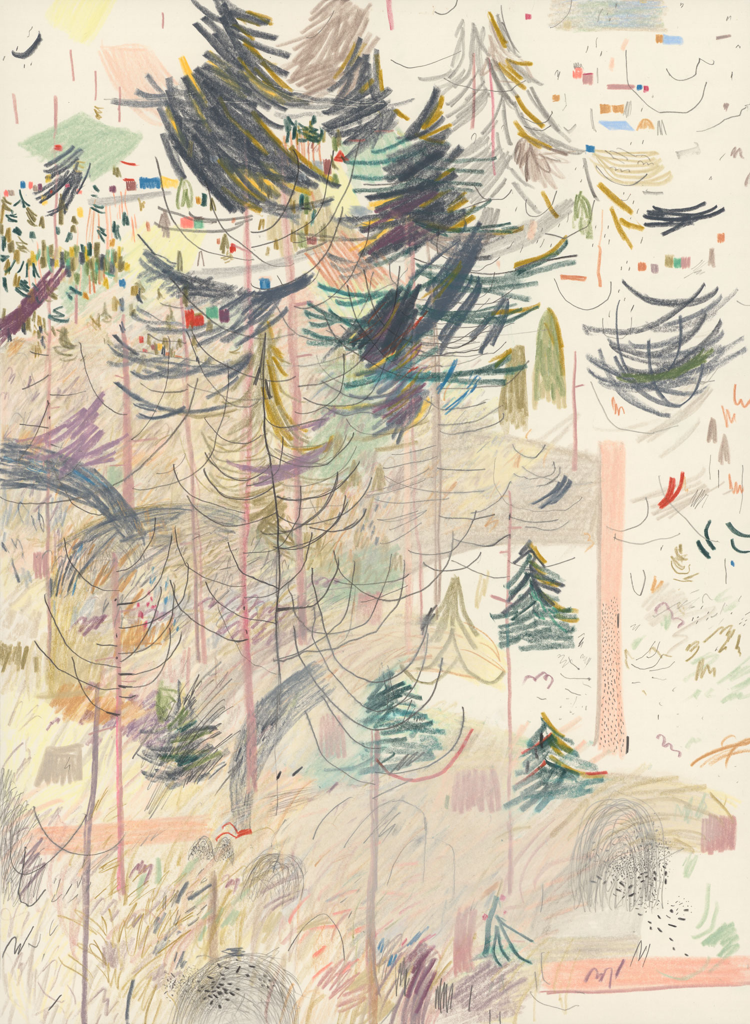 Zeichnung / Grafik aus Sachsen-Anhalt